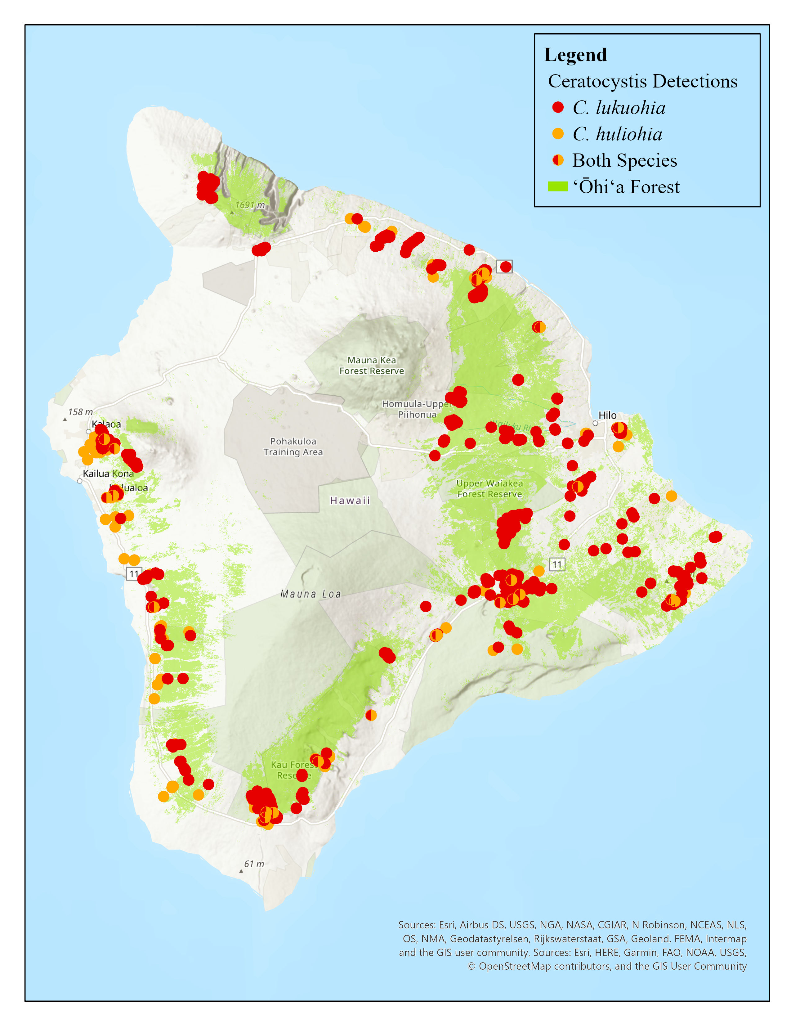 Map of ROD cases on Hawaii Island